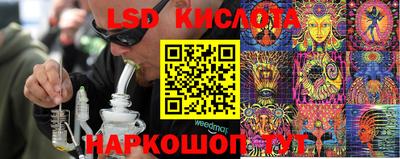 a pvp Гусев