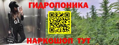 a pvp Гусев