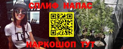 a pvp Гусев