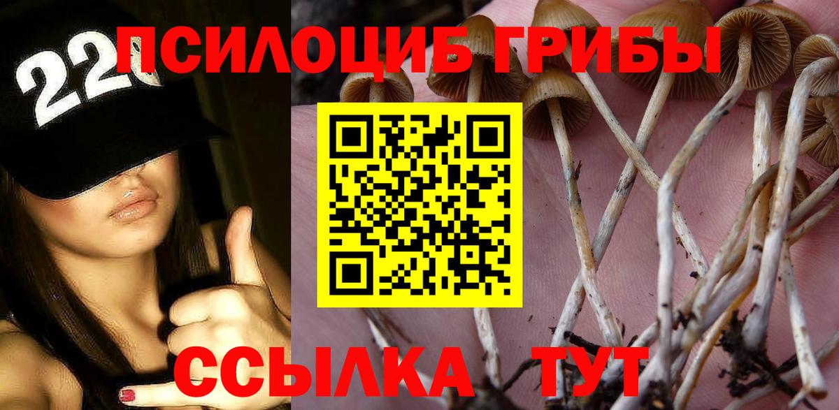 хочу   Галлюциногенные грибы Psilocybine cubensis  Вход с VPN  Заволжье 